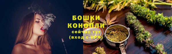 шишки Богданович