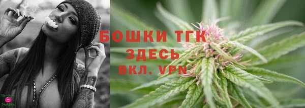 шишки Богданович