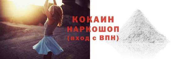 шишки Богданович