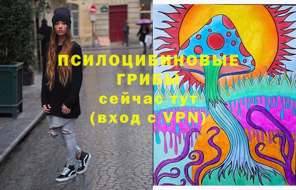 a pvp Богородицк