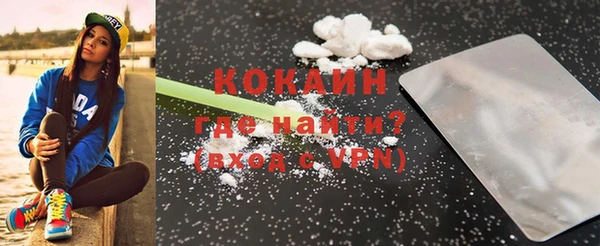 шишки Богданович
