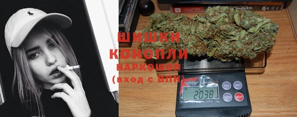 шишки Богданович